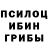 Галлюциногенные грибы прущие грибы Ngakak Banget