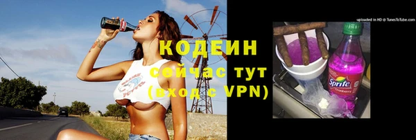 ешки Богданович
