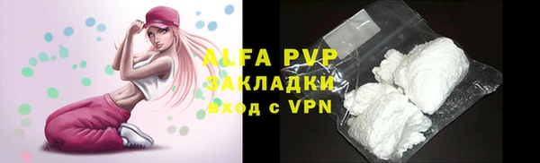 ешки Богданович