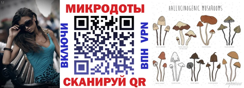 Купить закладки  Анива  Галлюциногенные грибы MAGIC MUSHROOMS 